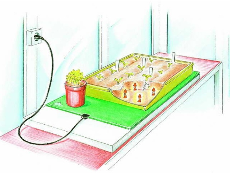 Biogreen Zahrievacia podložka 42W