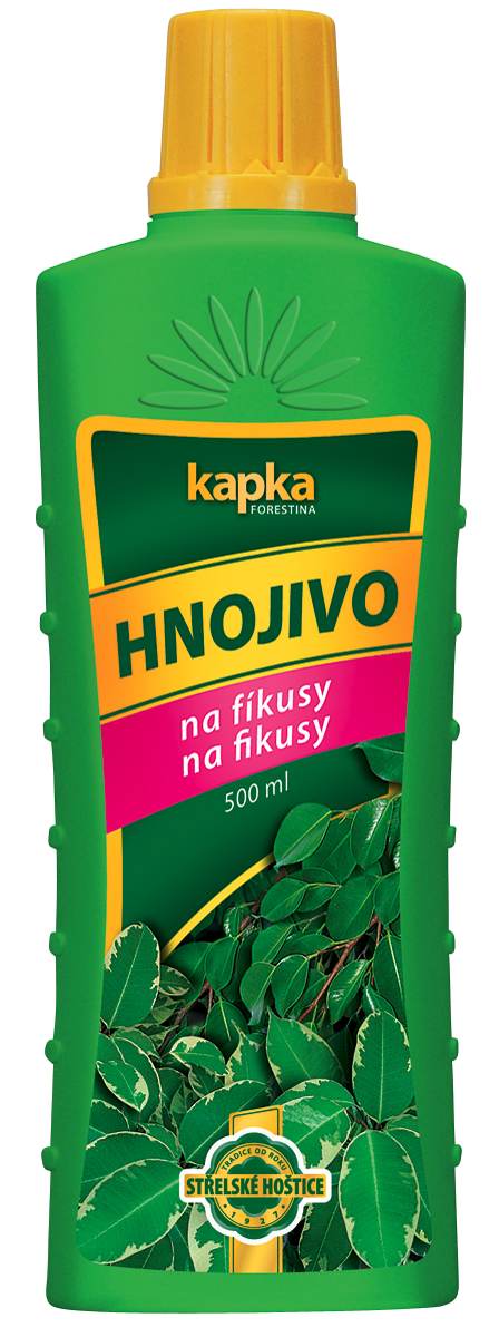 Kapka na fikusy