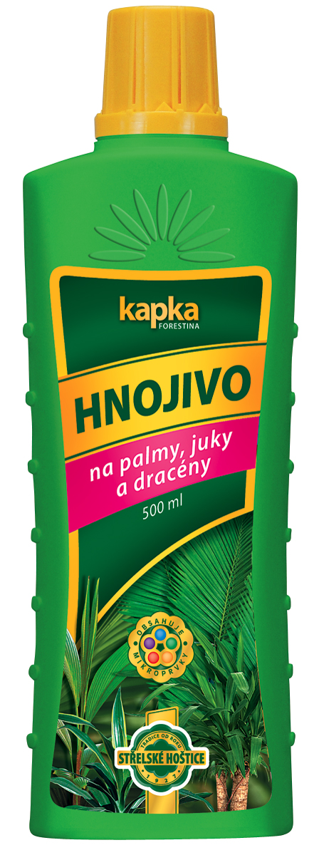 Kapka na palmy, juky a dráceny