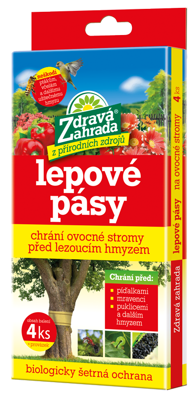 Lepové pásy na kmeň