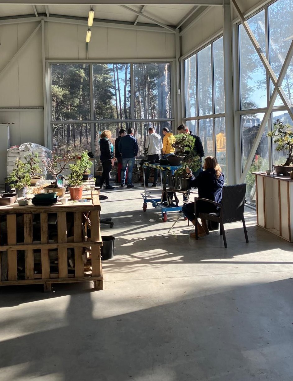 TATRABONSAI 2025 - workshop – Obrázok 2